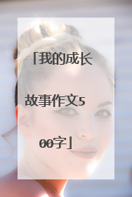 我的成长故事作文500字