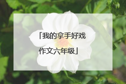 我的拿手好戏作文六年级