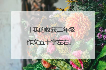 我的收获二年级作文五十字左右