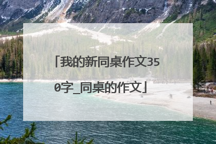 我的新同桌作文350字_同桌的作文