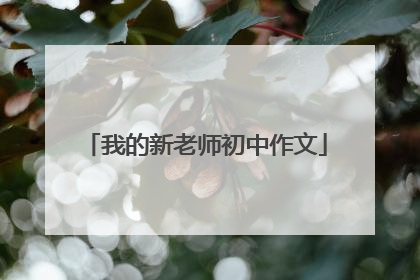 我的新老师初中作文