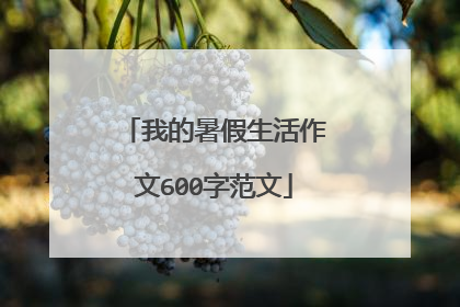 我的暑假生活作文600字范文