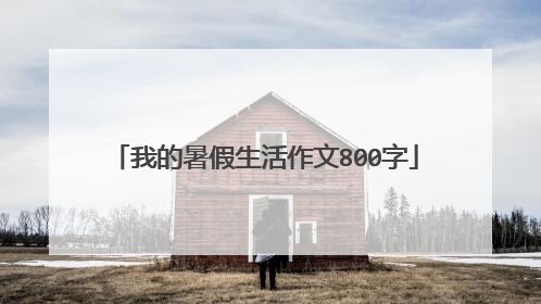 我的暑假生活作文800字
