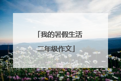 我的暑假生活二年级作文