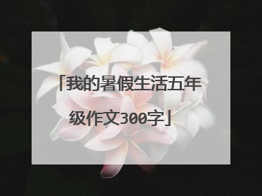 我的暑假生活五年级作文300字