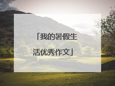 我的暑假生活优秀作文