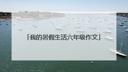 我的暑假生活六年级作文