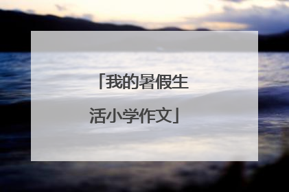 我的暑假生活小学作文
