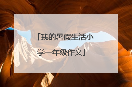 我的暑假生活小学一年级作文