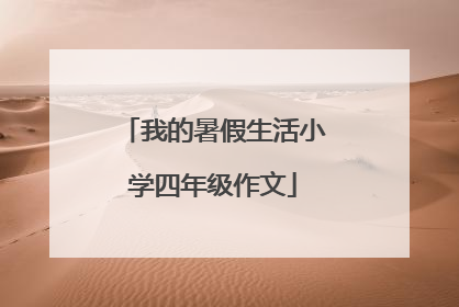 我的暑假生活小学四年级作文