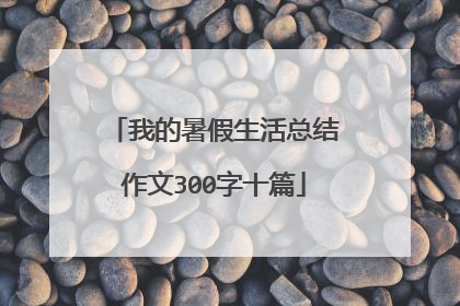 我的暑假生活总结作文300字十篇
