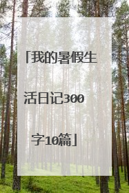我的暑假生活日记300字10篇