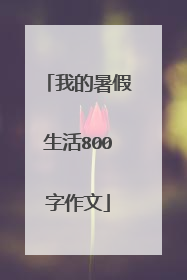 我的暑假生活800字作文