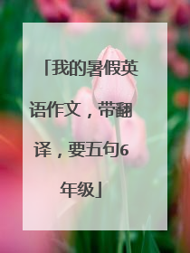 我的暑假英语作文，带翻译，要五句6年级