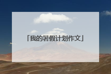 我的暑假计划作文