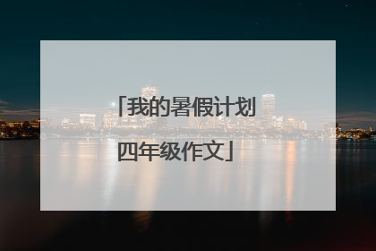 我的暑假计划四年级作文