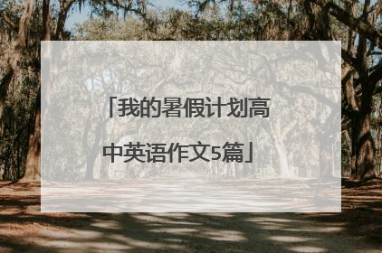 我的暑假计划高中英语作文5篇