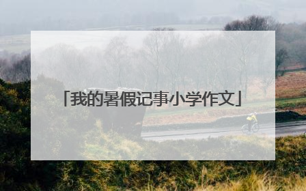 我的暑假记事小学作文
