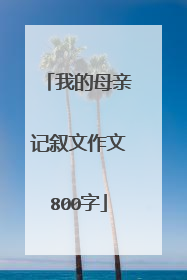 我的母亲记叙文作文800字