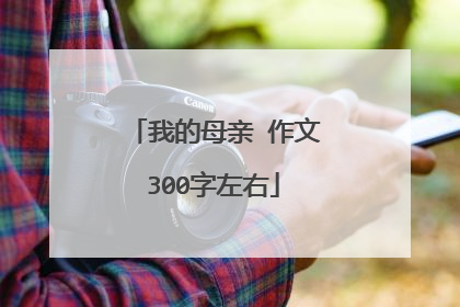 我的母亲 作文300字左右