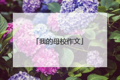 我的母校作文