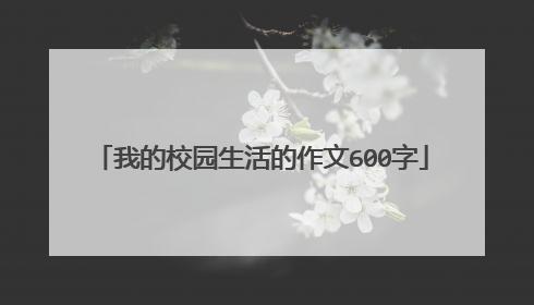 我的校园生活的作文600字