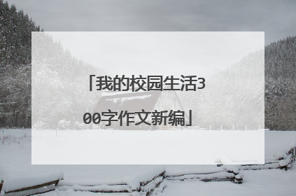 我的校园生活300字作文新编