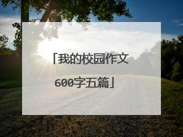 我的校园作文600字五篇