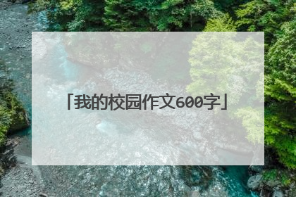 我的校园作文600字