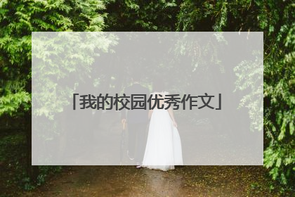 我的校园优秀作文
