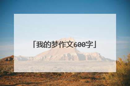 我的梦作文600字