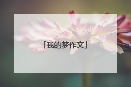 我的梦作文