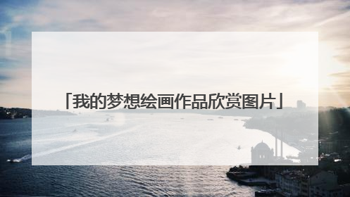 我的梦想绘画作品欣赏图片