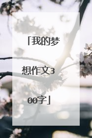 我的梦想作文300字