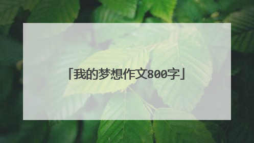 我的梦想作文800字
