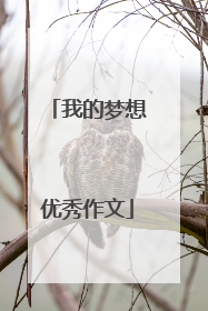我的梦想优秀作文