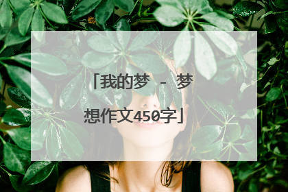 我的梦 - 梦想作文450字