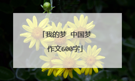 我的梦 中国梦 作文600字