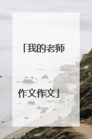 我的老师作文作文