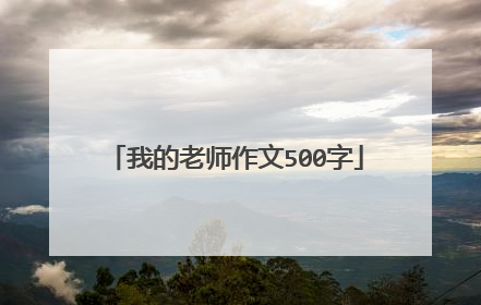 我的老师作文500字