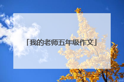 我的老师五年级作文