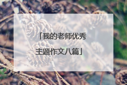 我的老师优秀主题作文八篇