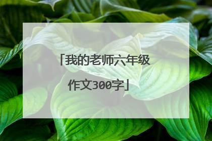 我的老师六年级作文300字