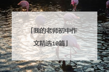 我的老师初中作文精选10篇