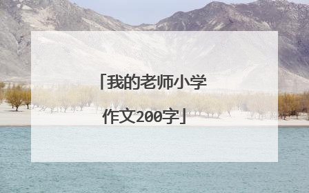 我的老师小学作文200字
