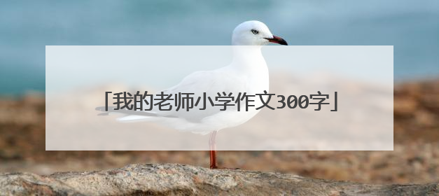 我的老师小学作文300字