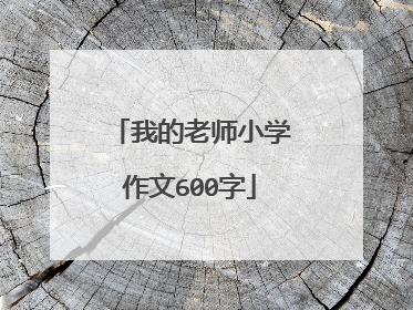 我的老师小学作文600字