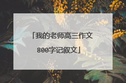 我的老师高三作文800字记叙文