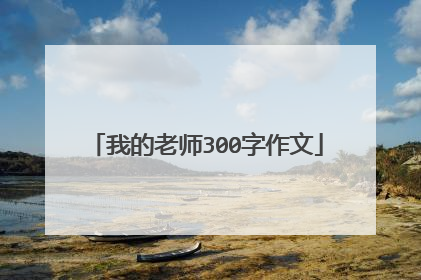 我的老师300字作文