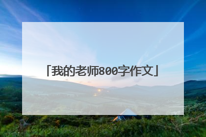 我的老师800字作文